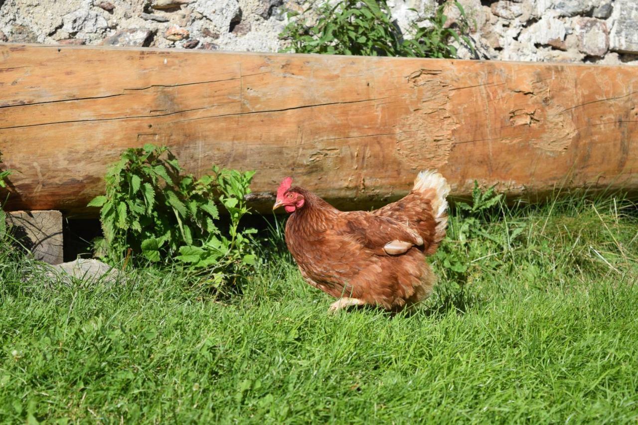 Toetscherhof Terento Exteriér fotografie