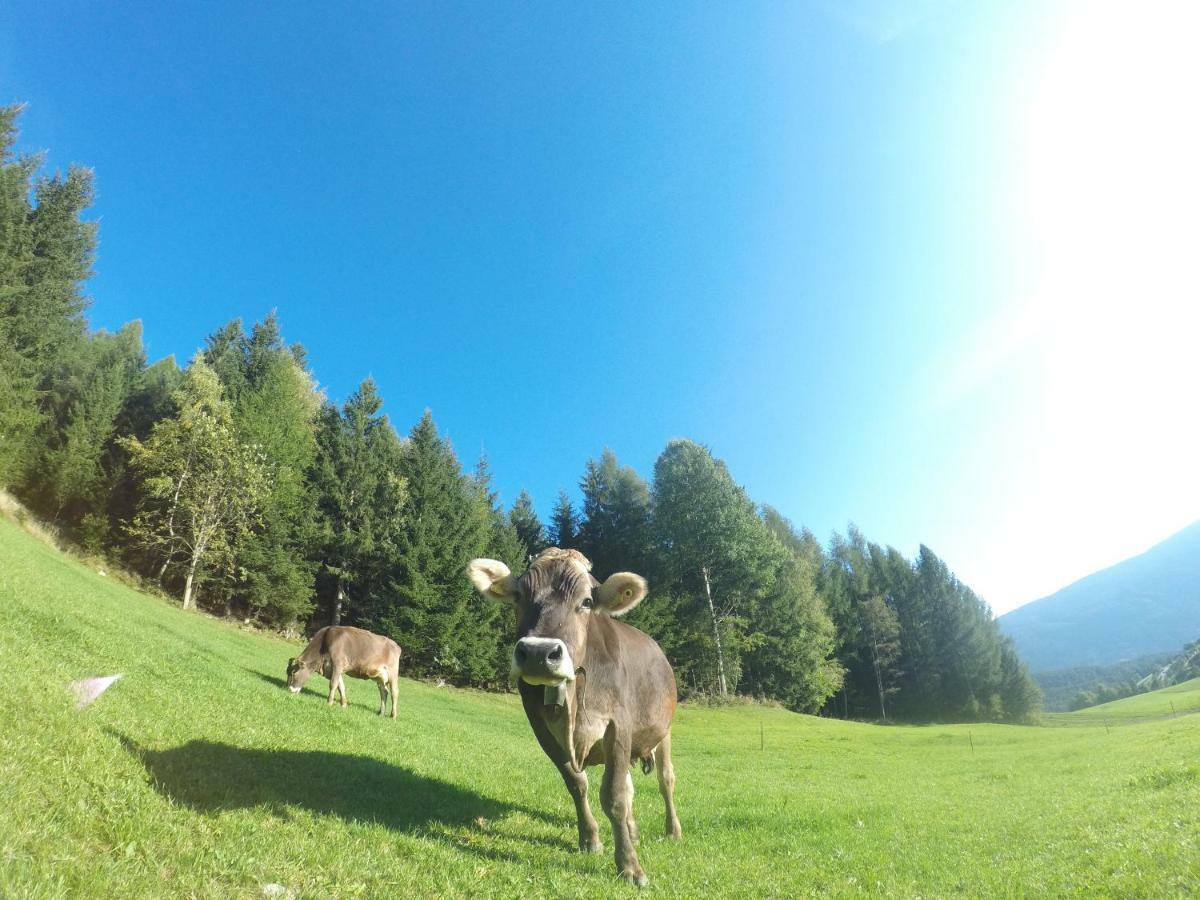 Toetscherhof Terento Exteriér fotografie