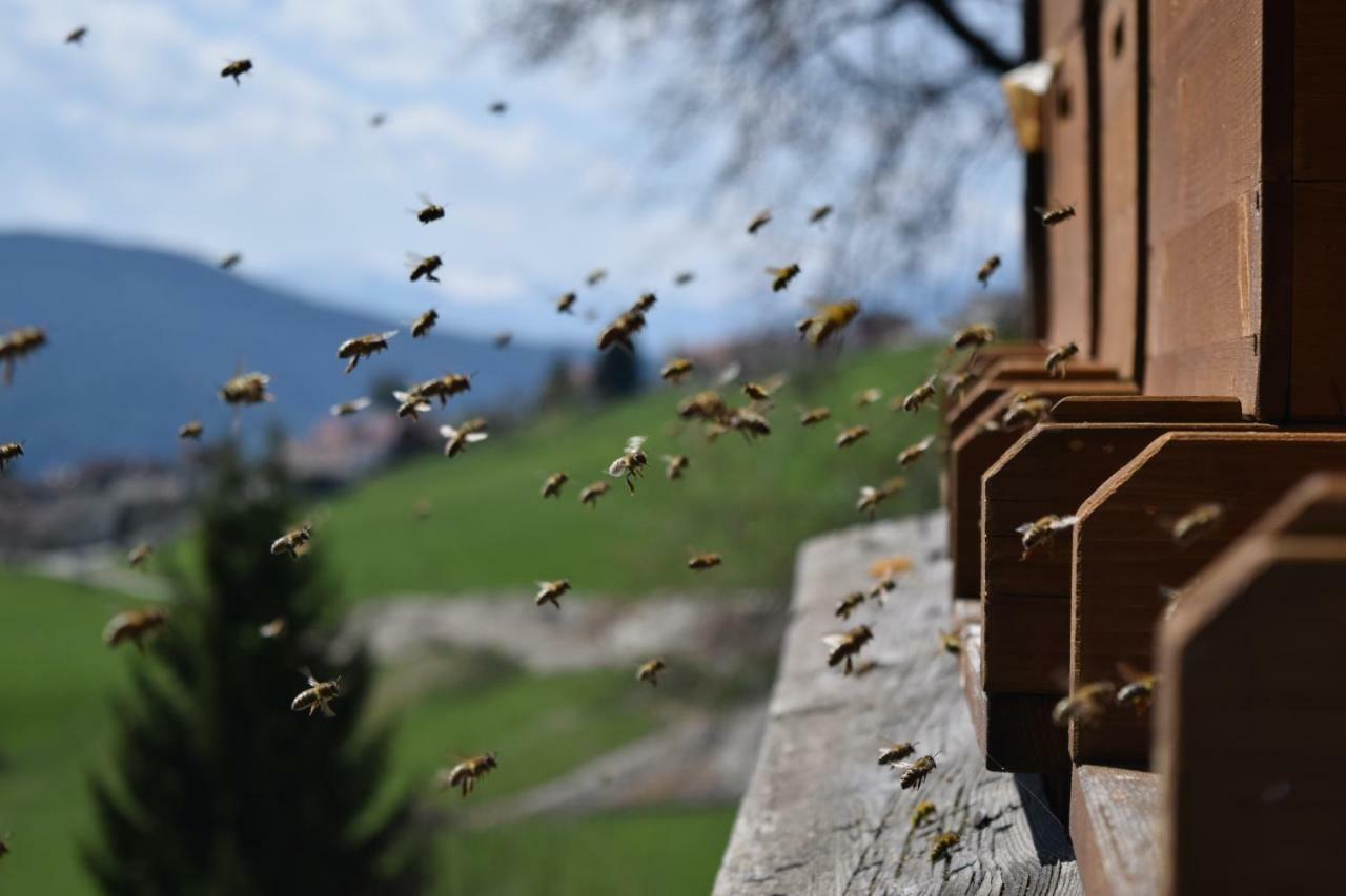 Toetscherhof Terento Exteriér fotografie